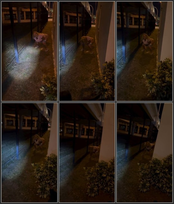 [Image: Pee-in-public-video-4.jpg]