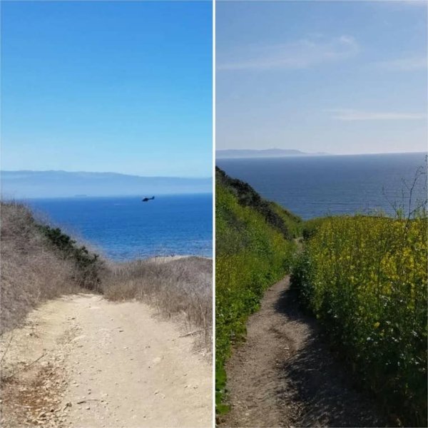 Before-after-19