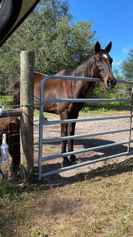 639C20D2-4907-4F19-A21E-D0C7140F57E6