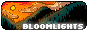 Bloomlights button