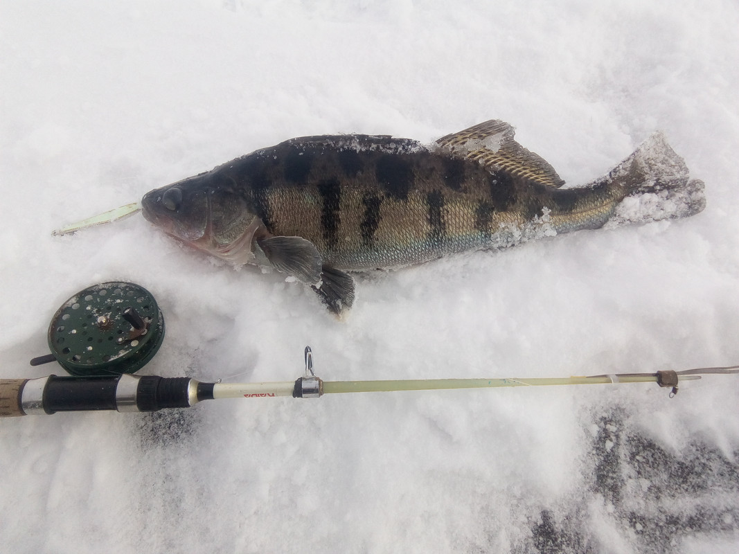 IMG_20180114_124408[1]