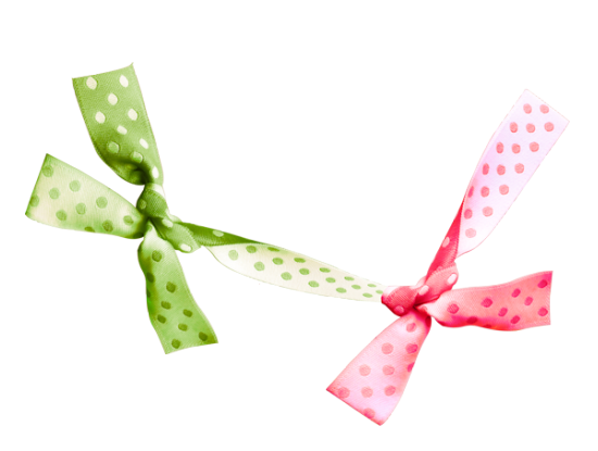 Mariposa_Kit_62