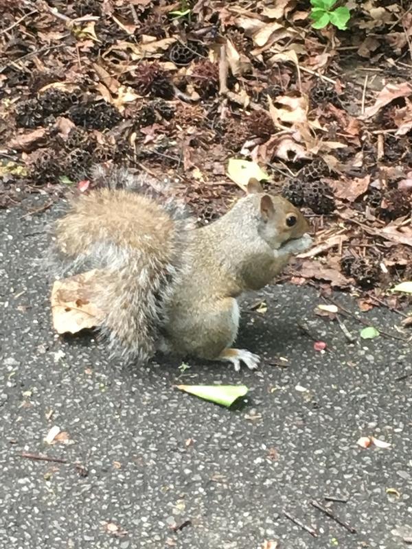 6ED62CF0-0CAC-404A-86ED-953FA4315E64