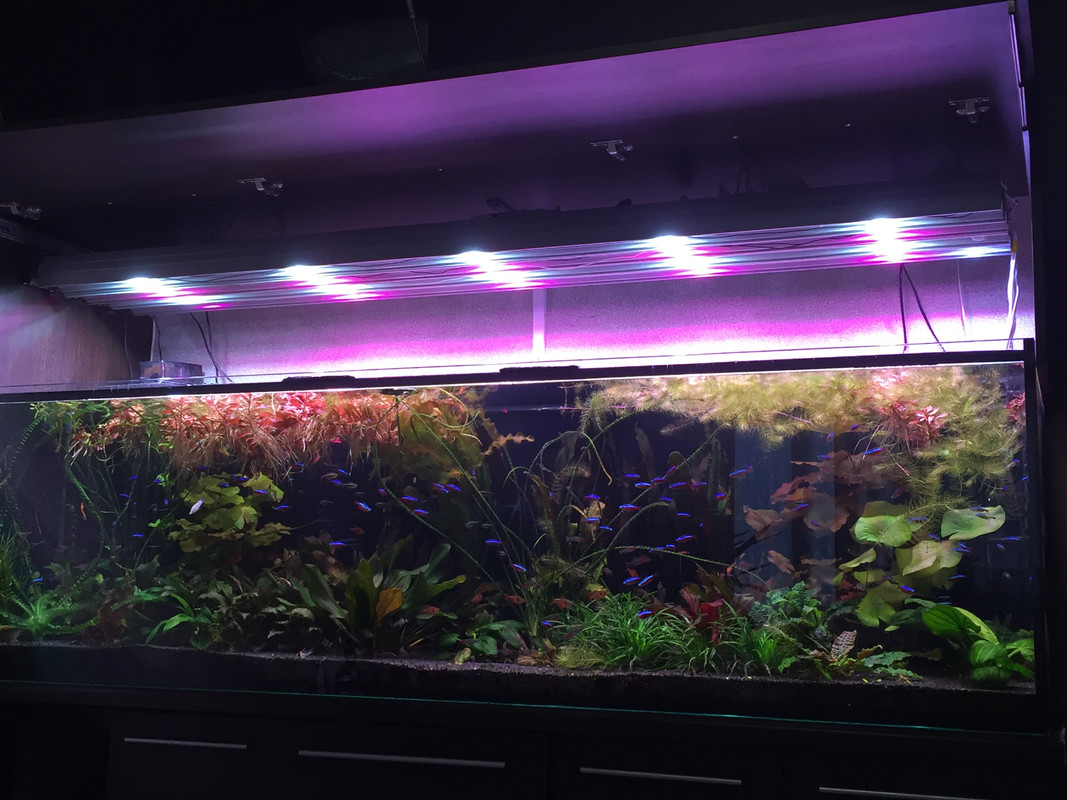 705506FE-BD1E-4B9C-A46F-81BBEC784118