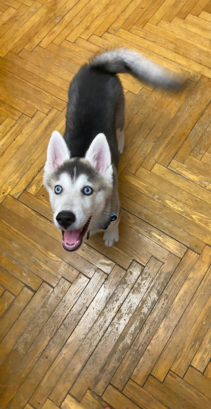 B646C129-C308-448A-AF3D-2CE466084CAB