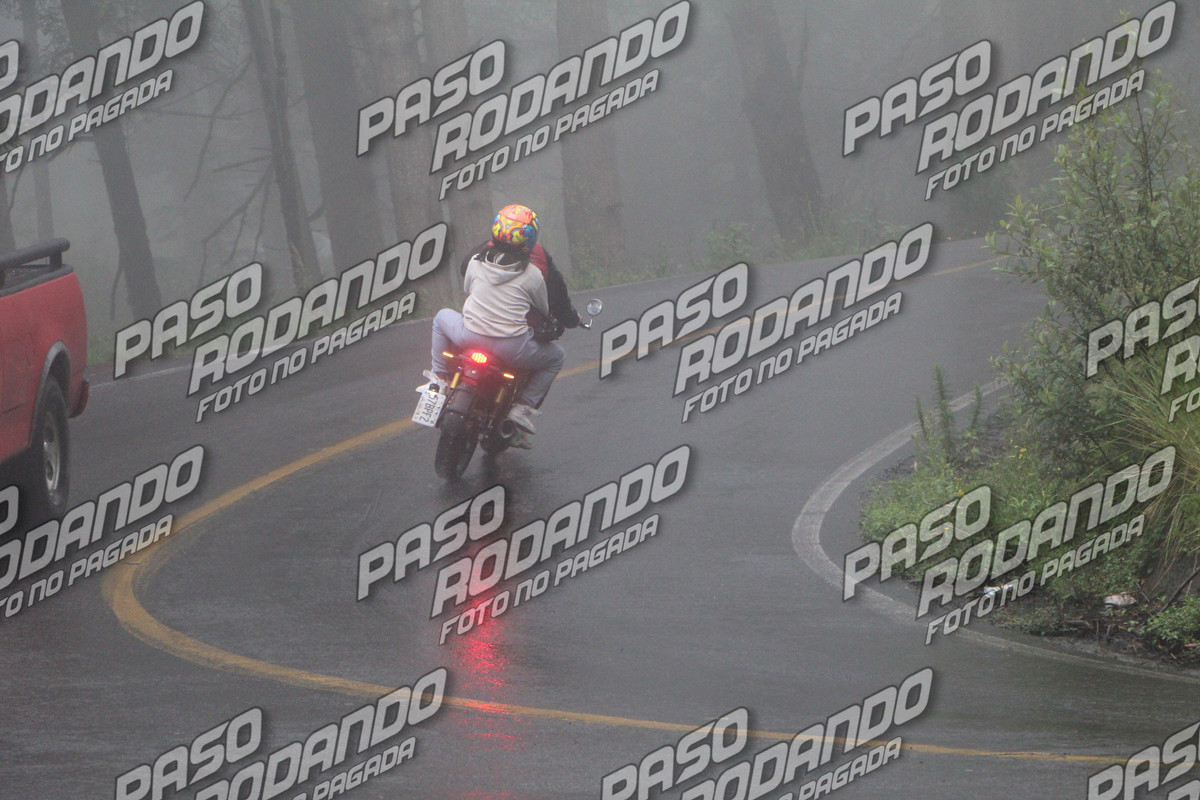 IMG 2332 wm 275975 4000000004 watermarked — Postimages