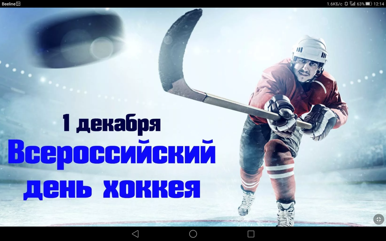 Screenshot_2021-12-01-12-14-54