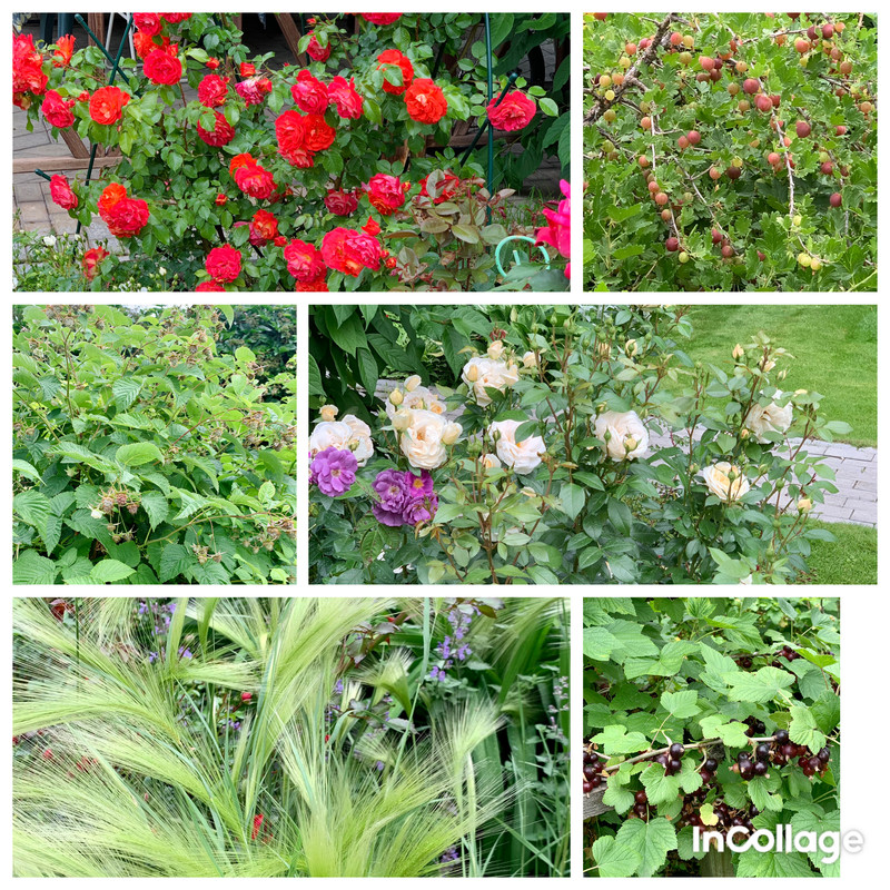 52F938C6-A056-412E-A281-4025B278C01B