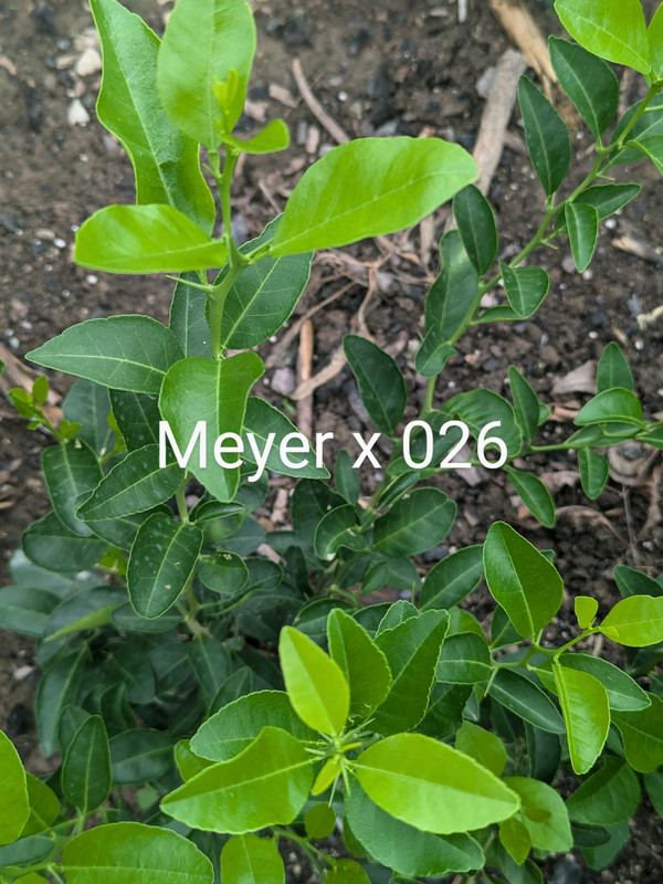 PXL_20240818_162856432~2