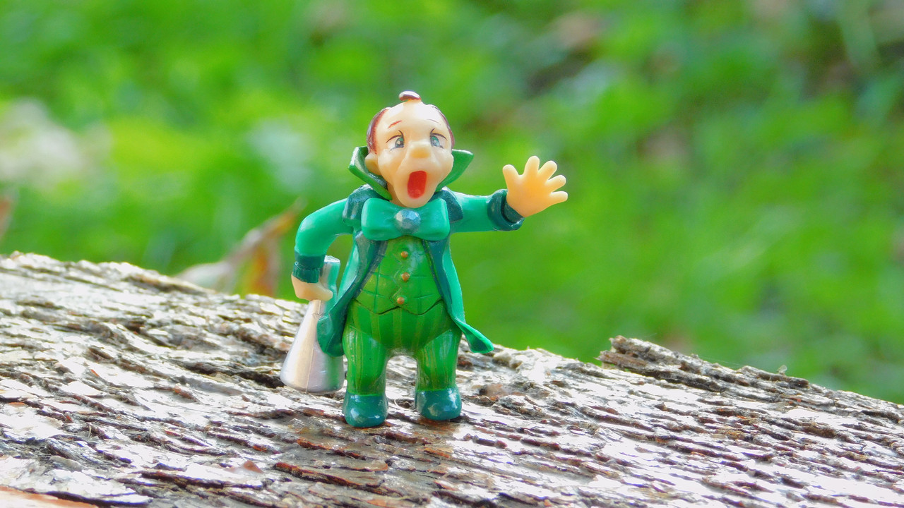 сентябрь дачно-миниатюр 2025 103