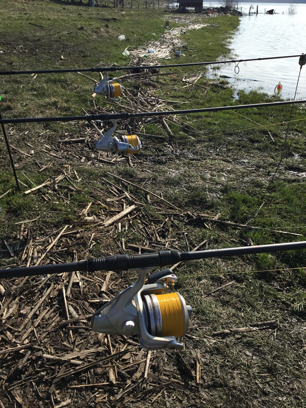 8DFE1C1A-13CE-4599-A839-713B23F36173