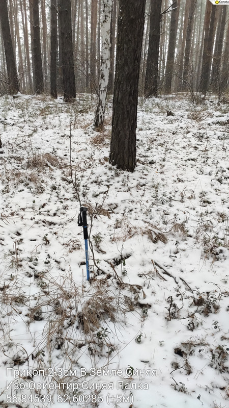 Изо Ориентир Синяя Палка Прикоп 2 3см В Земле Синяя 07122025 142848