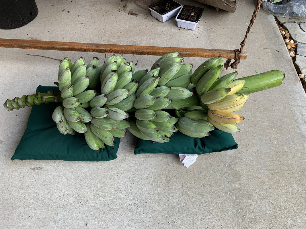 B755DC44-1FB2-476E-A8F8-B6EF8CCB5154