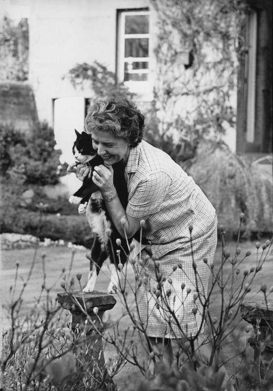 Mary-Stewart