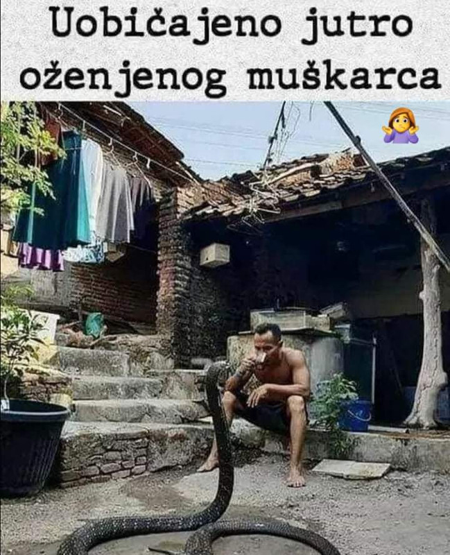 FB_IMG_1684576161644