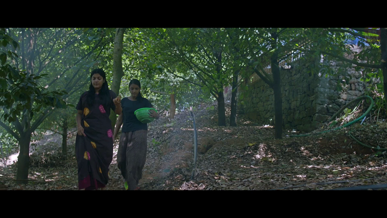 vlcsnap 2026 02 11 15h43m50s048