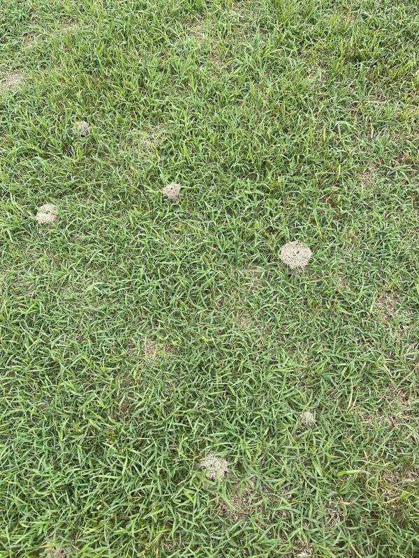 77474003-8B3A-4719-B3DE-DE7B939E5450