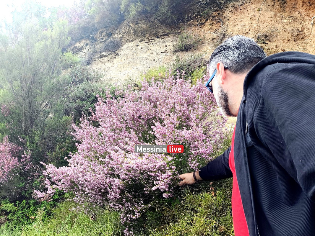 LADASIMG-20251012-134639