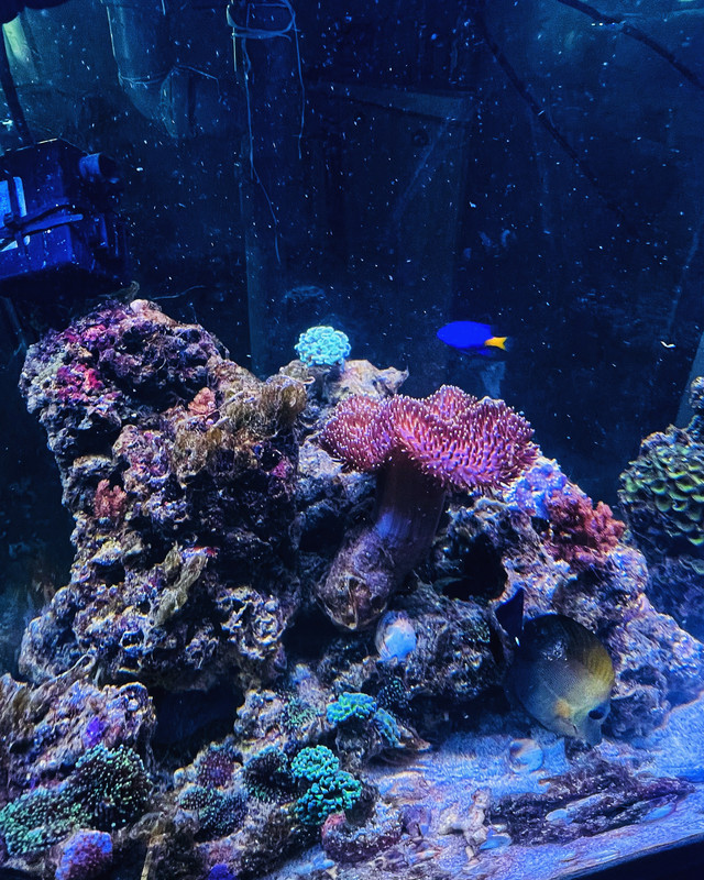 C90CD3D0-DC66-4806-9677-6A501C72EE64