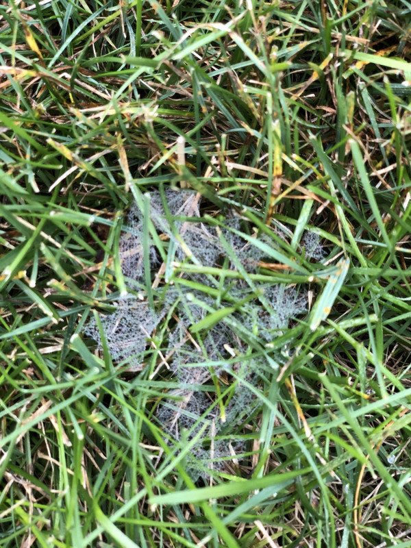 AE176DE4-6AE6-4CC2-A1A2-26BC05E79E04