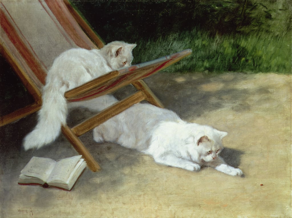 3-Arthur-Heyer-Two-White-Persian-Cats-with-a-Ladybird-by-a-Deckchair-Meister-Drucke-883142
