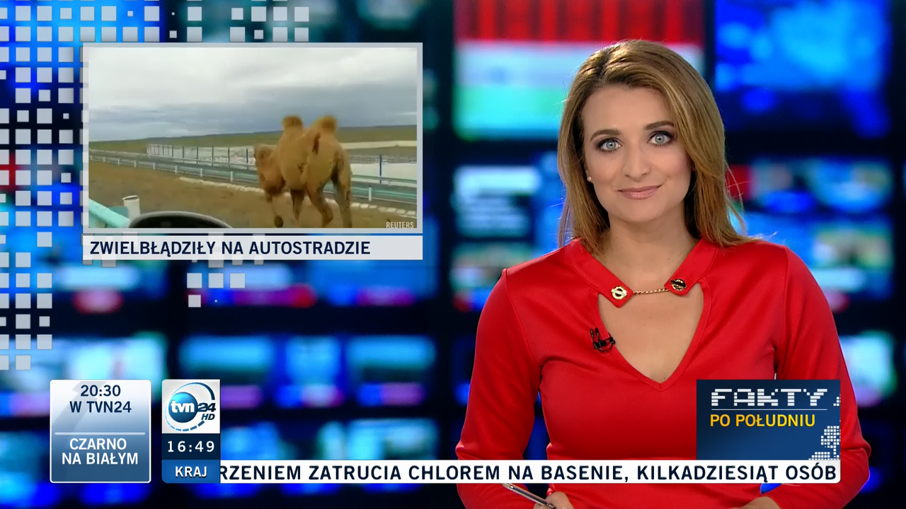 2017-05-29_Dagmara_Kaczmarek_Szalkow_TVN24_011