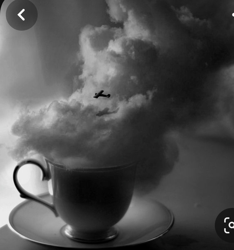 Screenshot_20231201_224147_Pinterest