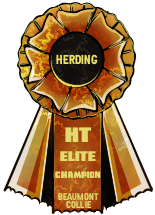 https://i.postimg.cc/C1XPCt23/BEAUMONT-HERDING-ELITE.png