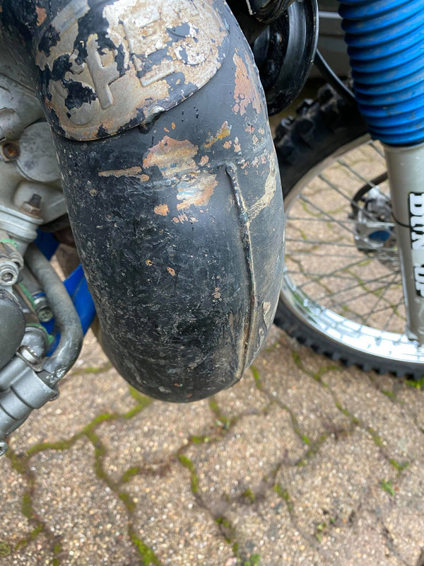 131008885_388443938932711_6479524514252368061_n