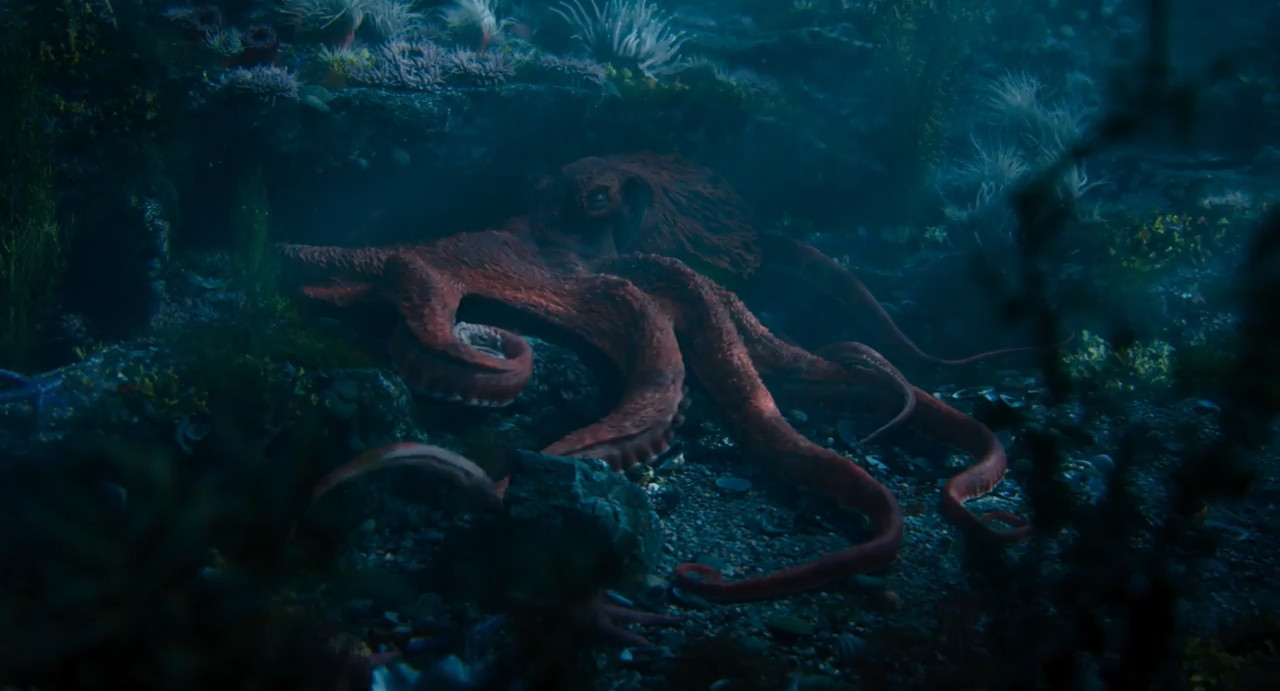 Remarkably Bright Creatures 2026 WebRip [Hindi + English] 480p 720p ESub Screenshot