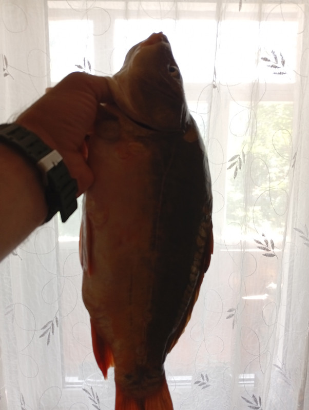 IMG-20250620-115904.jpg
