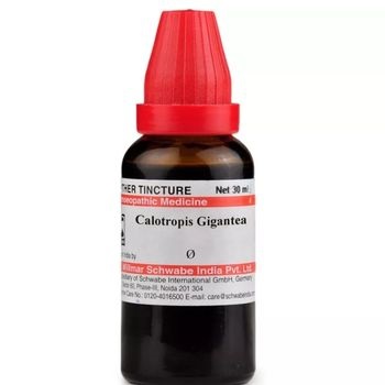 Willmar Schwabe India Calotropis Gigantea 1X (Q) (30ml)