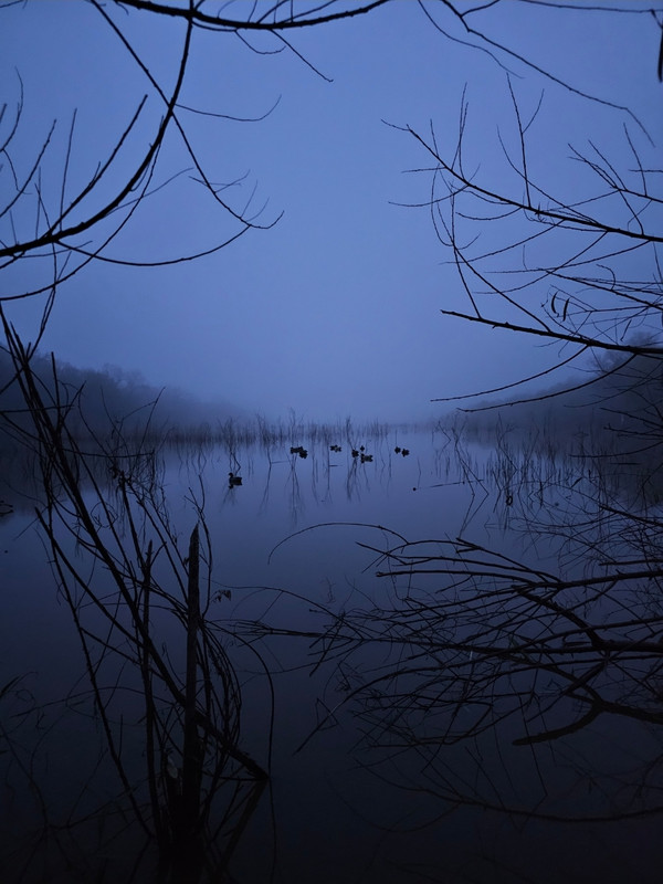 Screenshot 20251206 162854 Gallery