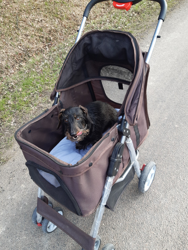 [Image: 20230221-155229.jpg]