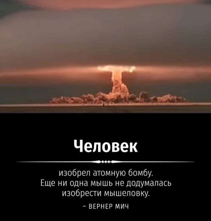 [Изображение: fc8f236d5604957aec4918680aa1b210.jpg]