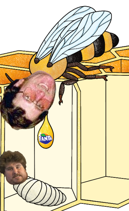 Unbenannt.png