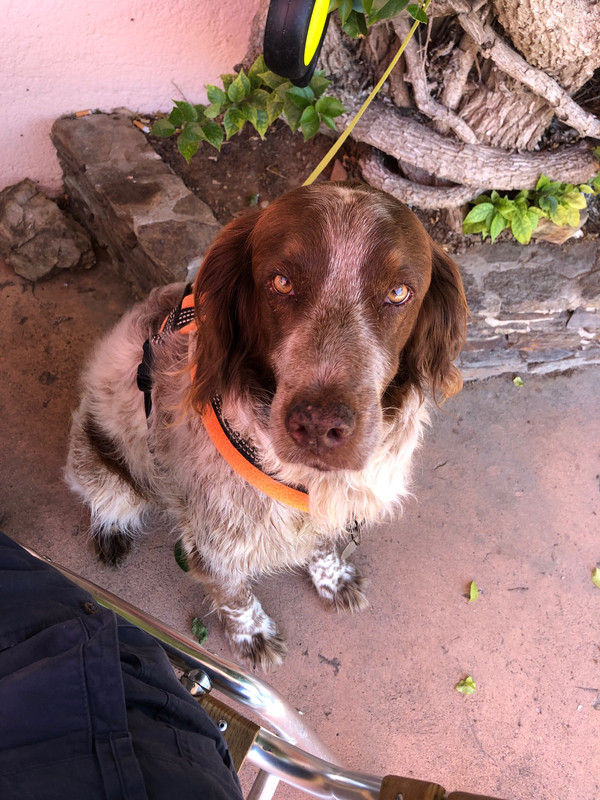 DE3DD95B-CEF4-460C-AC6A-9CE4130F93E6