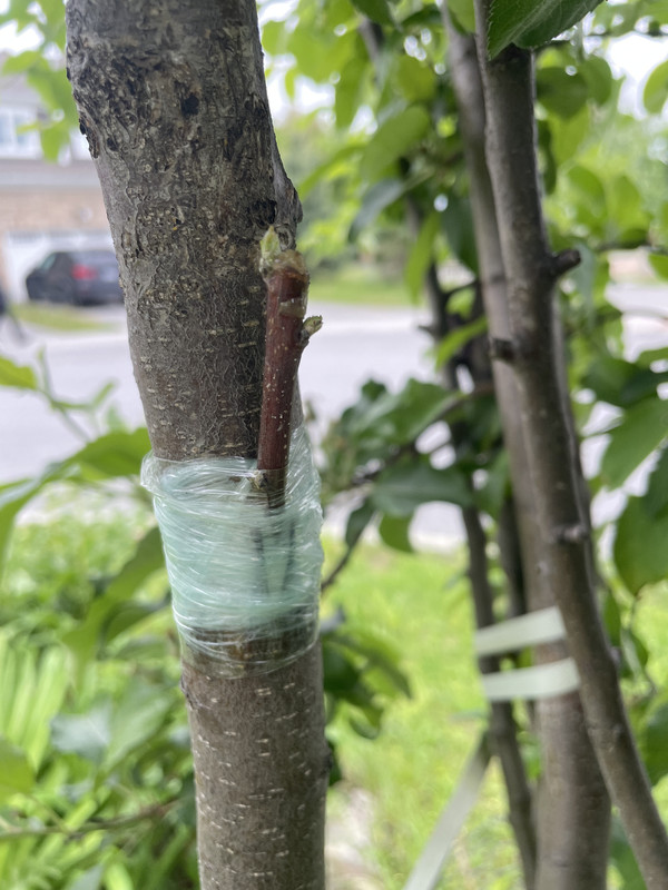 D6C75520-CABC-4F7A-9AB6-02FED5CB8E3C