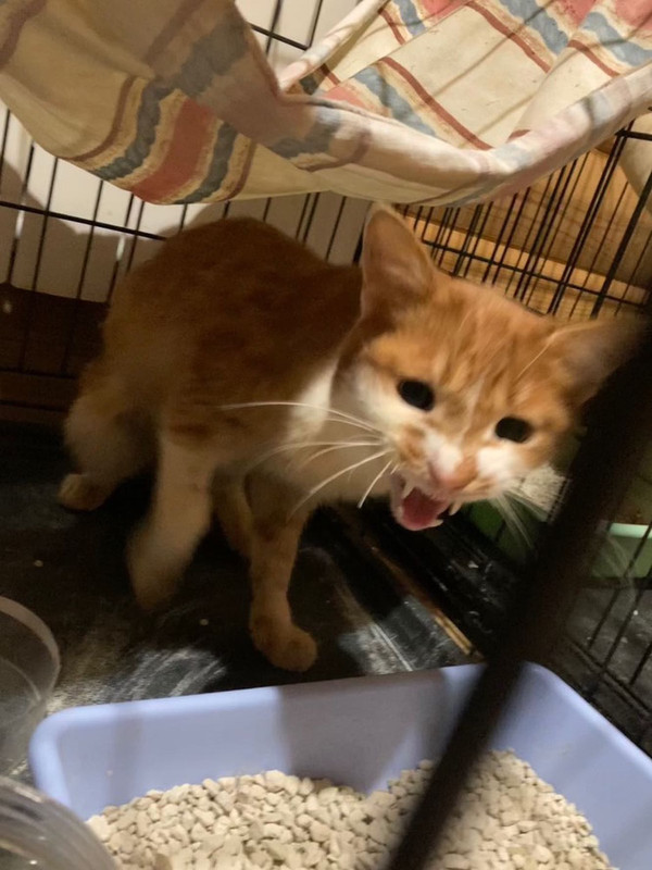 IMG-352f12b2fd4dec7d2d1343f089acd6eb-V