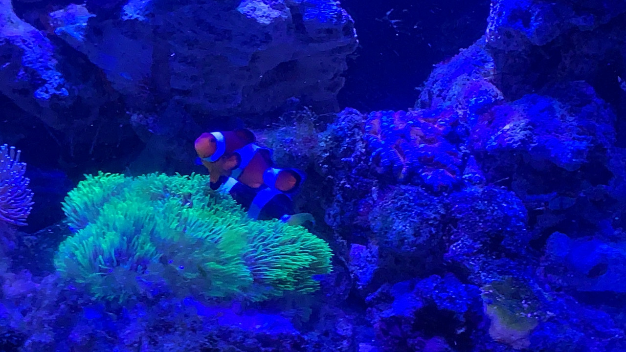 65406085-531F-490D-8E30-AD7E8090F8C4