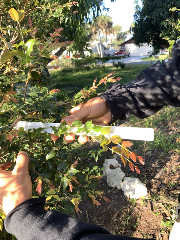 5A85ED5E-823A-490B-96B5-5099585E80E7