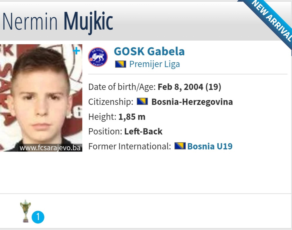 slika