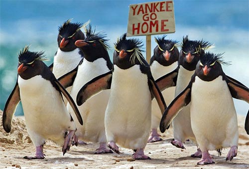 yankee-go-home.jpg