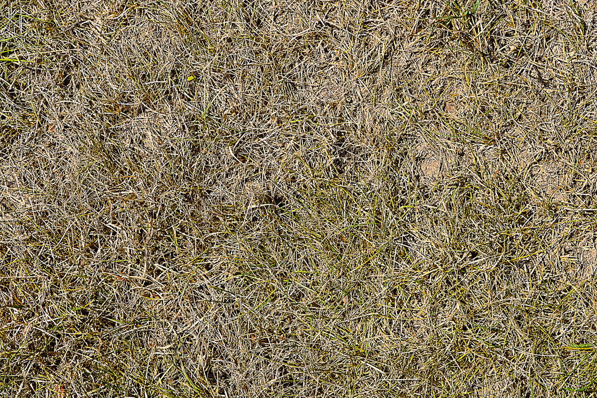 0 (123)