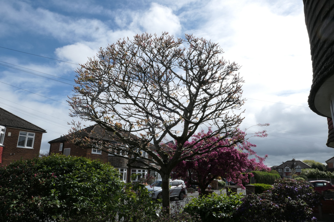 P1040365