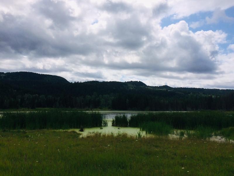 pond