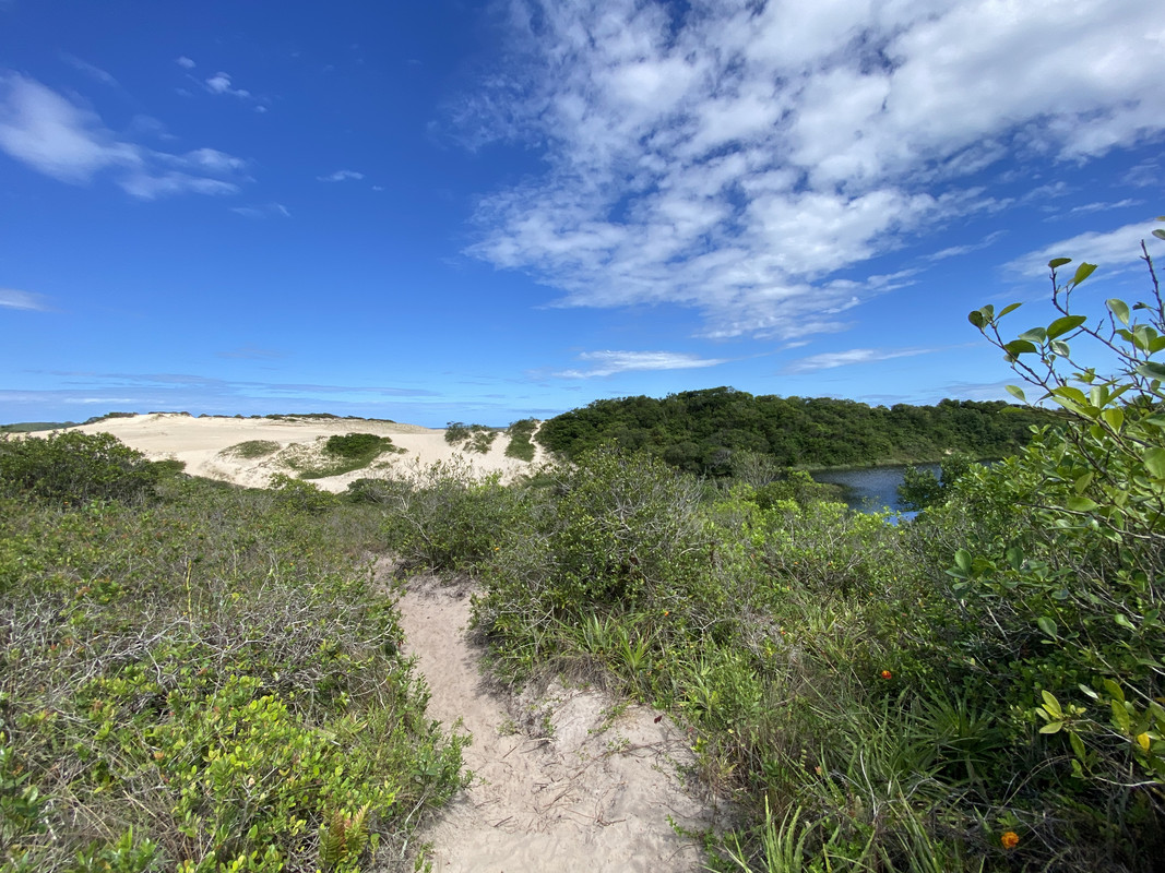 321146DF-1AE3-44DE-849B-474FCC33A262