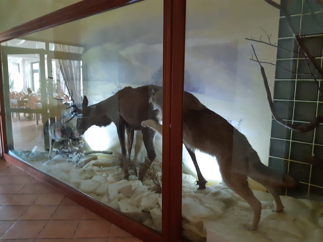 02.12b - 20220616_145511 (PiTT)