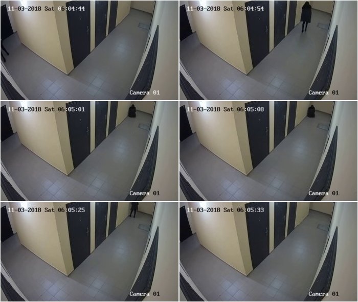 Pee-in-hallway-3.jpg