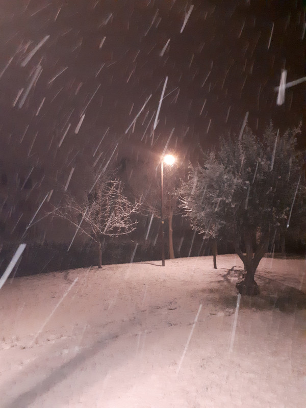 20190127_212749